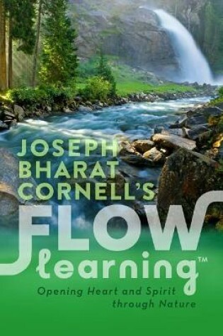 Cover of Flow Learning