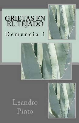 Cover of Grietas En El Tejado
