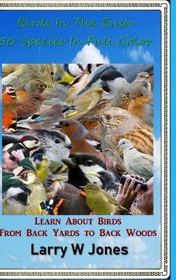 Book cover for Birds In The Bush - 50 Species In Full Color
