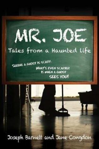 Cover of Mr. Joe