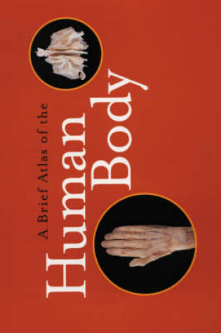 Cover of Brief Atlas of the Human Body