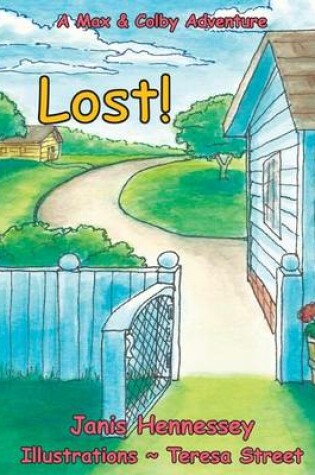 Cover of Lost!