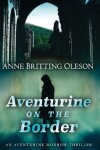 Book cover for Aventurine on the Border