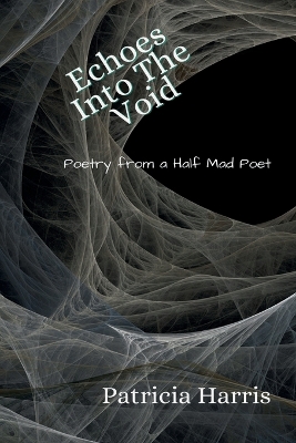 Book cover for Echoes Into The Void