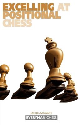 Book cover for Excelling at Positional Chess: