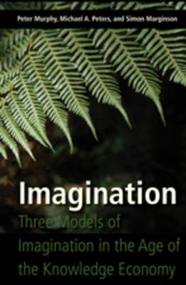 Book cover for Imagination