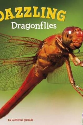 Cover of Bugs are Beautiful Dazzling Dragonflies