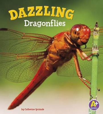 Book cover for Bugs are Beautiful Dazzling Dragonflies