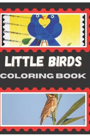 Cover of Little Birds Coloring Book