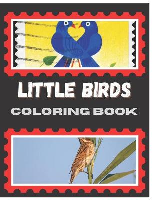 Book cover for Little Birds Coloring Book