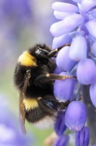 Cover of Bumble Bee on a Violet Journal