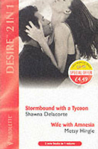 Cover of Stormbound with a Tycoon