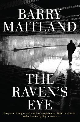 Book cover for The Raven's Eye