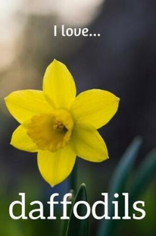 Cover of I Love Daffodils