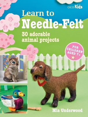 Book cover for Learn to Needle-Felt