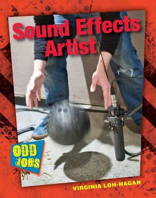 Book cover for Sound Effects Artist