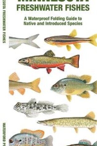 Cover of Minnesota Freshwater Fishes