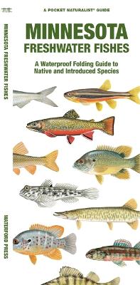 Book cover for Minnesota Freshwater Fishes