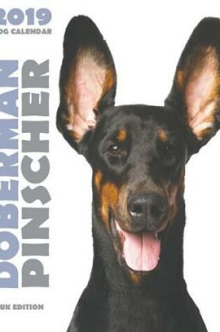 Cover of Doberman 2019 Dog Calendar (UK Edition)