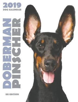 Cover of Doberman 2019 Dog Calendar (UK Edition)