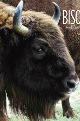 Cover of Bison