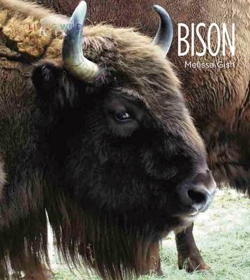 Book cover for Bison