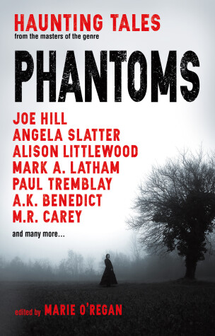 Book cover for Phantoms: Haunting Tales from Masters of the Genre