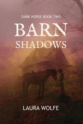 Book cover for Barn Shadows