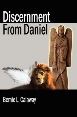 Cover of Discernment from Daniel