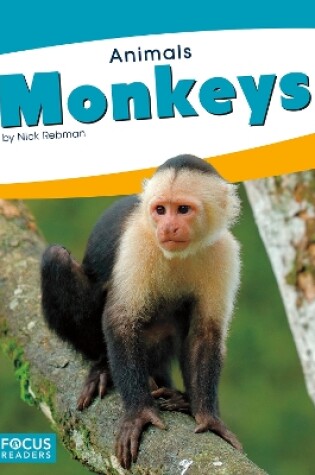 Cover of Animals: Monkeys