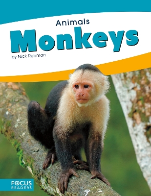 Book cover for Animals: Monkeys
