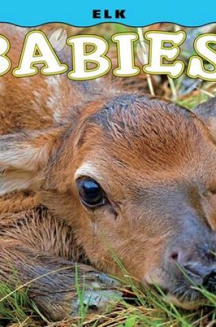 Cover of Elk Babies!