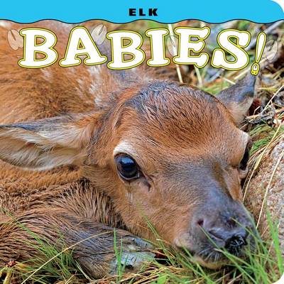 Book cover for Elk Babies!