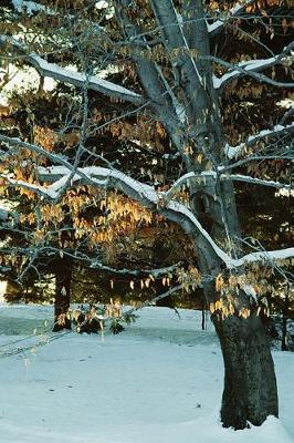 Book cover for Journal Snowy Winter Tree