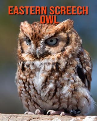 Book cover for Eastern Screech Owl