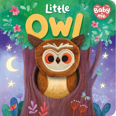 Book cover for Little Owl
