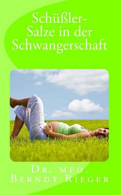 Book cover for Schussler-Salzeinderschwangerschaft