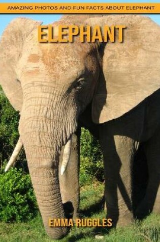 Cover of Elephant