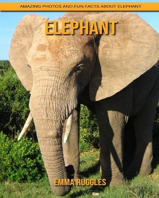 Book cover for Elephant