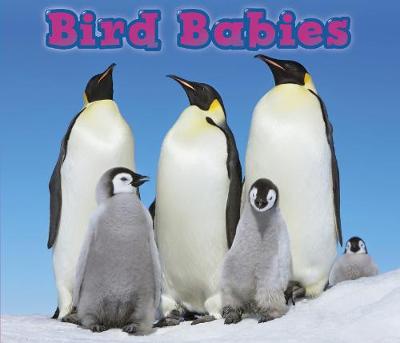 Book cover for Bird Babies