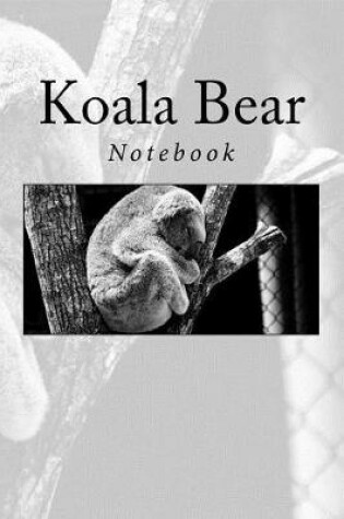 Cover of Koala Bear