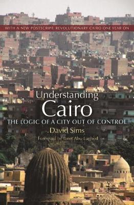 Book cover for Understanding Cairo