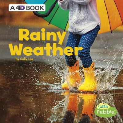 Book cover for Rainy Weather: a 4D Book (All Kinds of Weather)