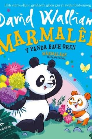 Cover of Marmalêd - Y Panda Bach Oren / Marmalade - The Orange Panda