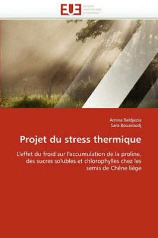 Cover of Projet Du Stress Thermique