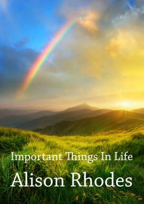 Book cover for Important Things in Life