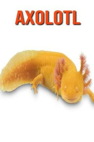 Cover of Axolotl