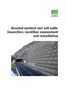 Book cover for Grouted anchors and soil nails: inspection, condition assessment and remediation
