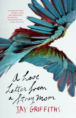 Book cover for A Love Letter from a Stray Moon