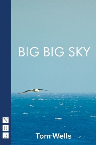 Cover of Big Big Sky